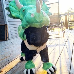 Dinosaur Dog Costume size L
